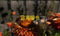 蓝海搜书